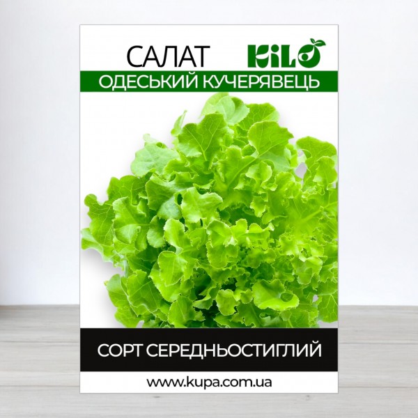 Семена салата Одесский Кучерявец, 0,5кг